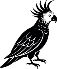 Fototapeta premium A black and white bird with a large, pointed beak and a long, pointed tail