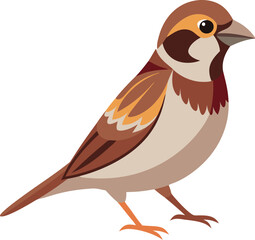 Fototapeta premium A brown and white bird with a yellow beak