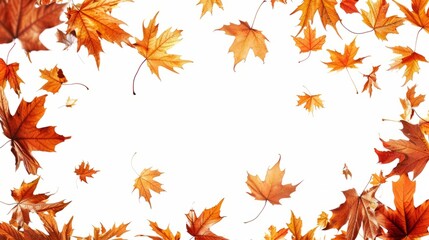 Fototapeta premium A white background with a lot of orange leaves falling from the sky. The leaves are scattered all over the background, creating a sense of movement and chaos. Copy place.