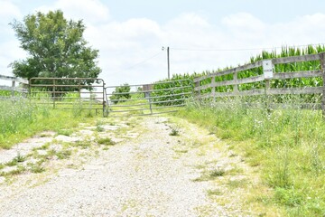 Gravel Road in a Farm Field