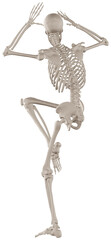 skeleton posing 3d render illustration with transparent background