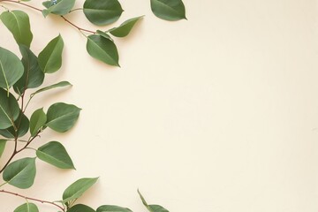 yellow background with leaves