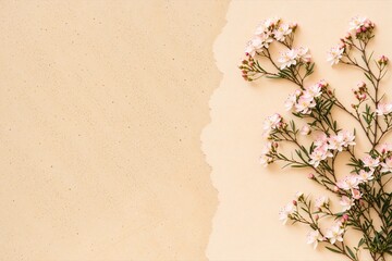 pink flower with paper background