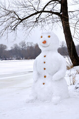 Obraz premium Smiling Snowman with carrot nose in winter nature scenery