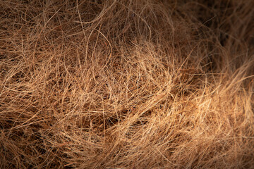 coconut coir rope making with traditional process