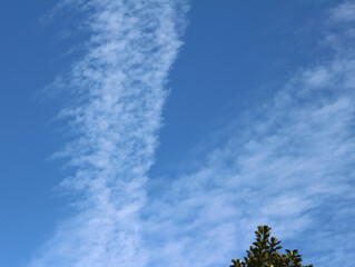 sky and clouds. clouds in the sky. clouds forming a v in the sky. white clouds in the blue sky.