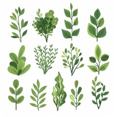 Illustration of four green, leafy trees with varying shapes and sizes on a white background. Vector illustration.