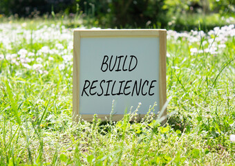 Build Resilience symbol. Build Resilience white chalk blackboard. Beautiful meadow background. Business and Build Resilience concept. Copy space.