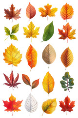 Obraz premium Clipart of a winter scene featuring snowflakes, a snowman, and mittens adds a festive touch to any project.