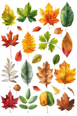 Fototapeta premium Clipart of a winter scene with snowflakes, a snowman, and mittens