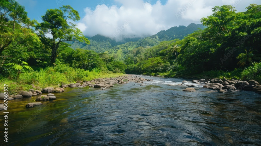 Poster A river with a forest in the background. The water is clear and calm. The sky is blue and there are clouds in the background