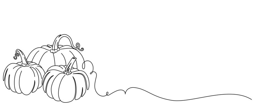 pumpkins line art style. halloween and thanksgiving elements vector.	