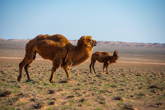 Sunrise overrock formation of the white stupa, also known as Tsagaan Suvarga
