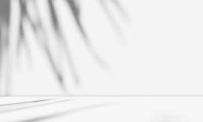 Empty white room studio with leaves shadow overlay effect for product presentation display. Cosmetic beauty fashion showroom. Morning sunlight through the window. Minimal Mock up interior background.	