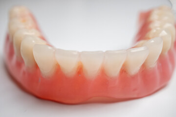 denture teeth on white background