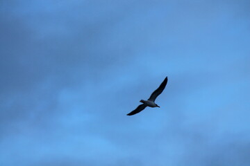 22nd Jan 2024 Averøy