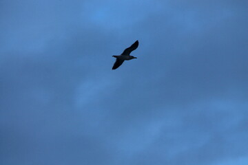 22nd Jan 2024 Averøy