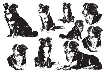 Peeking Border Collie Clipart Peeking Border Collie Dog