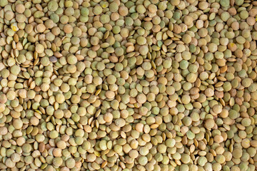 Lentilha crua