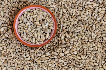 Semente de girassol sem casca crua