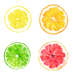 Obraz premium Watercolor Citrus Fruits Illustration with Lemon, Orange, Lime, and Grapefruit Slices