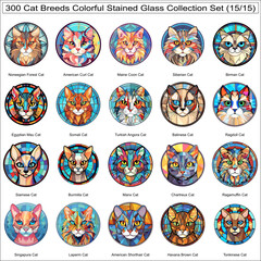 Colorful Cat Breeds Stained Glass Cute Cats Bundle Collection Set of 300 Cat Faces Part 15