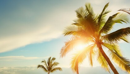 Copy space of tropical palm tree with sun light on sky background.
