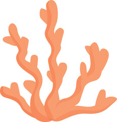 Obraz premium Single bush of laminaria growing underwater in warm sea, marine plant life, element of flora of sea depths