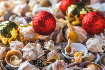 Lots of seashells and pebbles on a white background