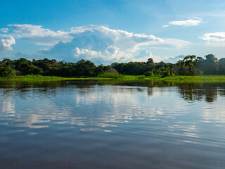 Landscape on the Amazon River (here called Solim&otilde;es River) east of Anam&atilde; in Brazil.