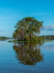 Landscape on the Amazon River (here called Solim&otilde;es River) east of Anam&atilde; in Brazil.