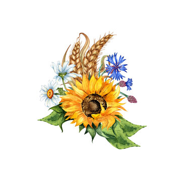 recommend clip art: Sunflower, daisies, cornflower, ears of wheat boutonniere watercolor illustration. Harvest Festival. The bouquet is isolated from the background. Compositions posters, cards, banners, flyers, covers
