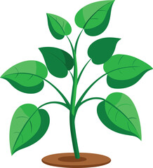 Fototapeta premium Illustration of a fresh green plant with multiple leaves growing from the soil on white background