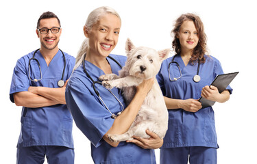 Team of young veterinarians with a westie terrier dog