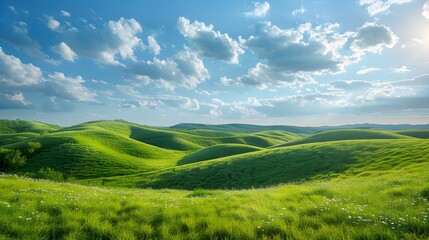 Fototapeta premium Green grass field on small hills and blue sky with clouds. Summer spring landscape background