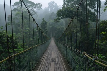 Fototapeta premium A bridge over a forest with a misty sky. The bridge is made of wood and is suspended over a river. The trees are lush and green, and the misty sky adds a sense of mystery and tranquility to the scene