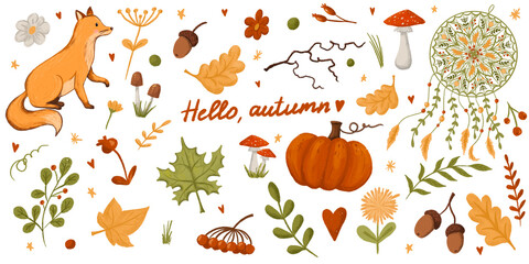 Set of autumn elements on a white background, isolated autumn elements, leaves, berries, pumpkin, mushrooms, fox, dream catcher