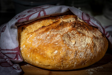 freshly made whole wheat bread gray background
