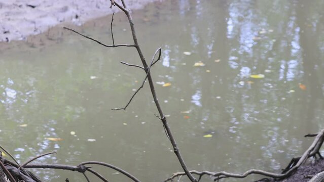 High angle video background with mountain scenery The river and the beautiful sunshine blurred onto the water surface in a golden light, the beauty of nature during the trip.