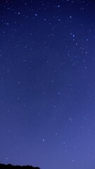 Fototapeta premium starry night sky