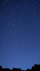 Naklejka premium starry night sky