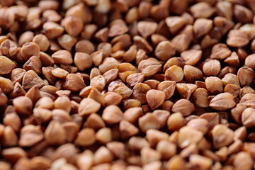 Macro Shot of Raw Buckwheat Grains