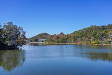青空バックに見る静寂に包まれた公園のカラフルな紅葉情景