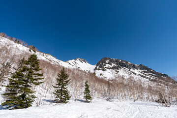 残雪期の焼岳