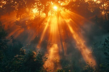 Fototapeta premium Mystical Sunrise Through Forest Trees