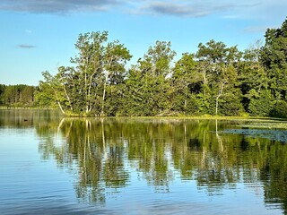 Trees on shore reflecting in lake water 
