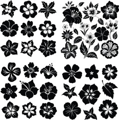 set of flower plant design background tropical black summer graphic element set white floral isolated art silhouette exotic botanical decoration drawing leaf vector illustration nature © ChamaraNDesign