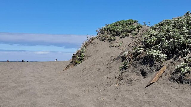 Approach to Cahuil beach