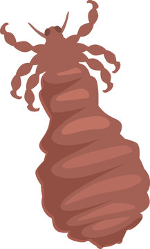 Louse clip art preview