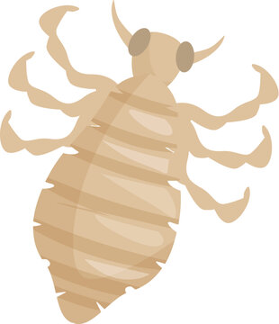 tan insect cartoon clip art preview